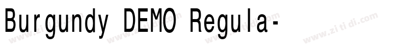 Burgundy DEMO Regula字体转换